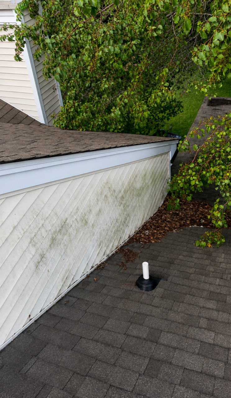 Siding beside a roofline before house washing
