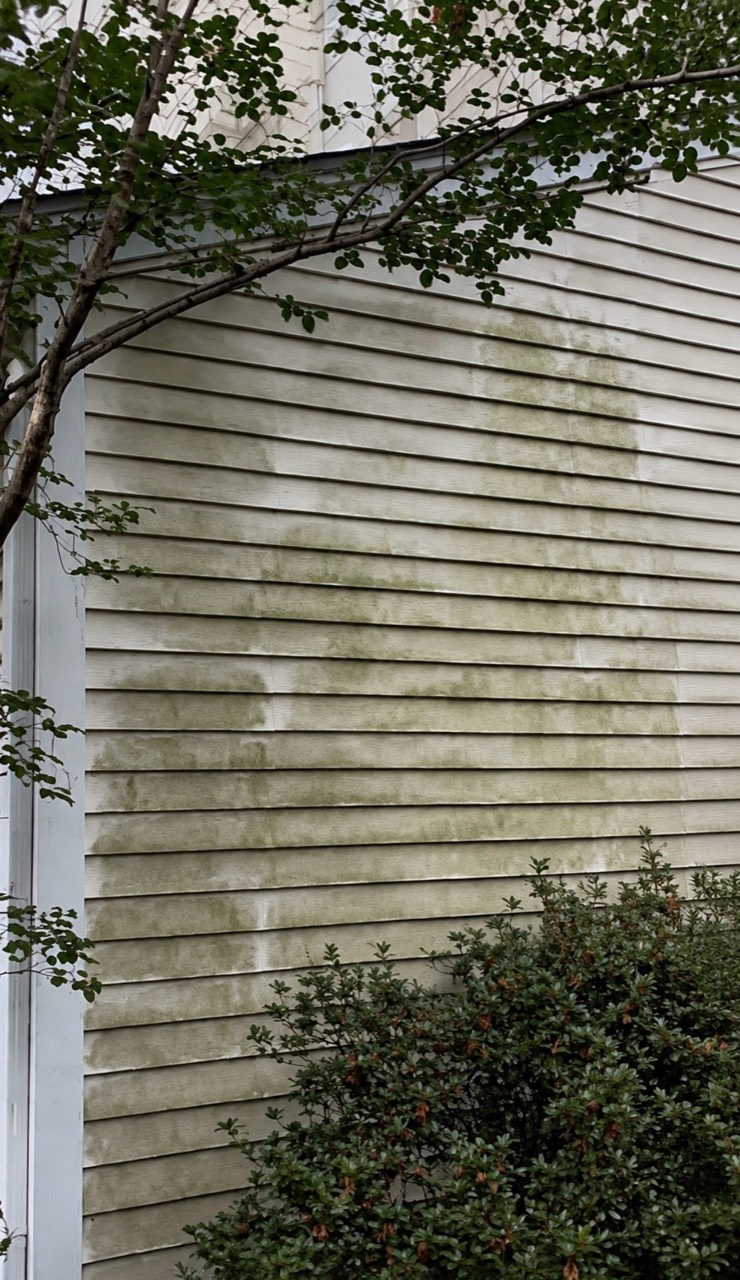 Siding near trees and shrubs before house washing